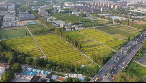 檔案見證小康路|農(nóng)業(yè)科技 澆灌富民之“花”